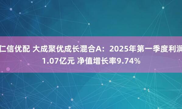 仁信优配 大成聚优成长混合A：2025年第一季度利润1.07亿元 净值增长率9.74%